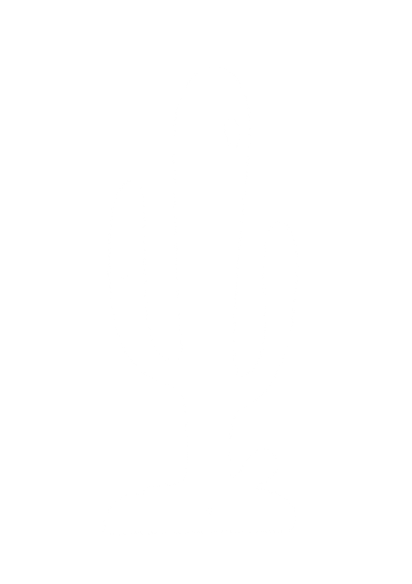ilustracion-cactus